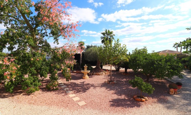 Venta - Country Property -
Orihuela - La Campaneta