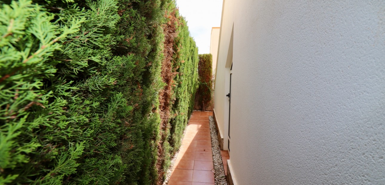 Venta - Villa -
Guardamar del Segura - El Raso