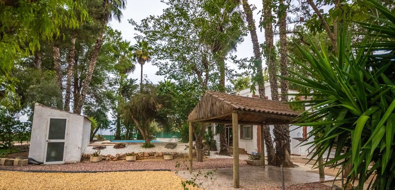 Sale - House -
Orihuela