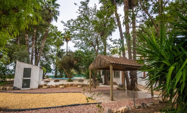 Sale - House -
Orihuela