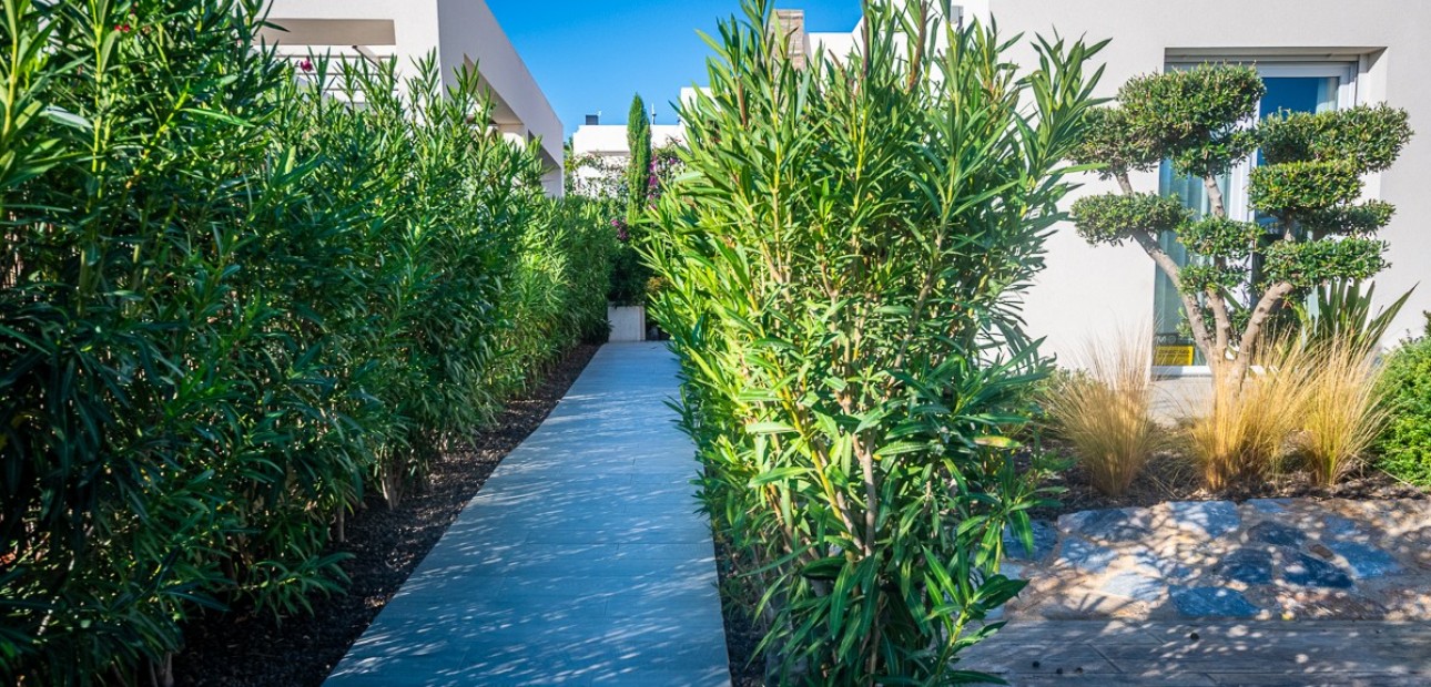 Herverkoop - Villa -
Algorfa - LA FINCA GOLF / ALGORFA