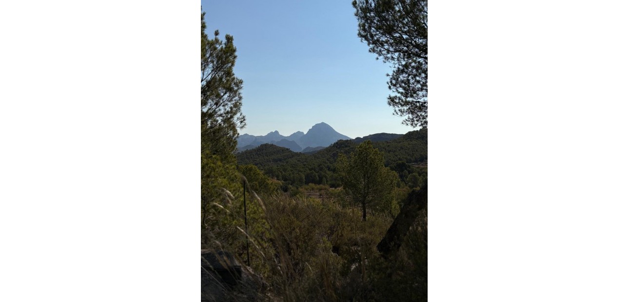 Herverkoop - Country House -
Villajoyosa - El Secanet - Hacienda del Sol