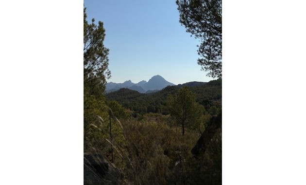 Herverkoop - Country House -
Villajoyosa - El Secanet - Hacienda del Sol