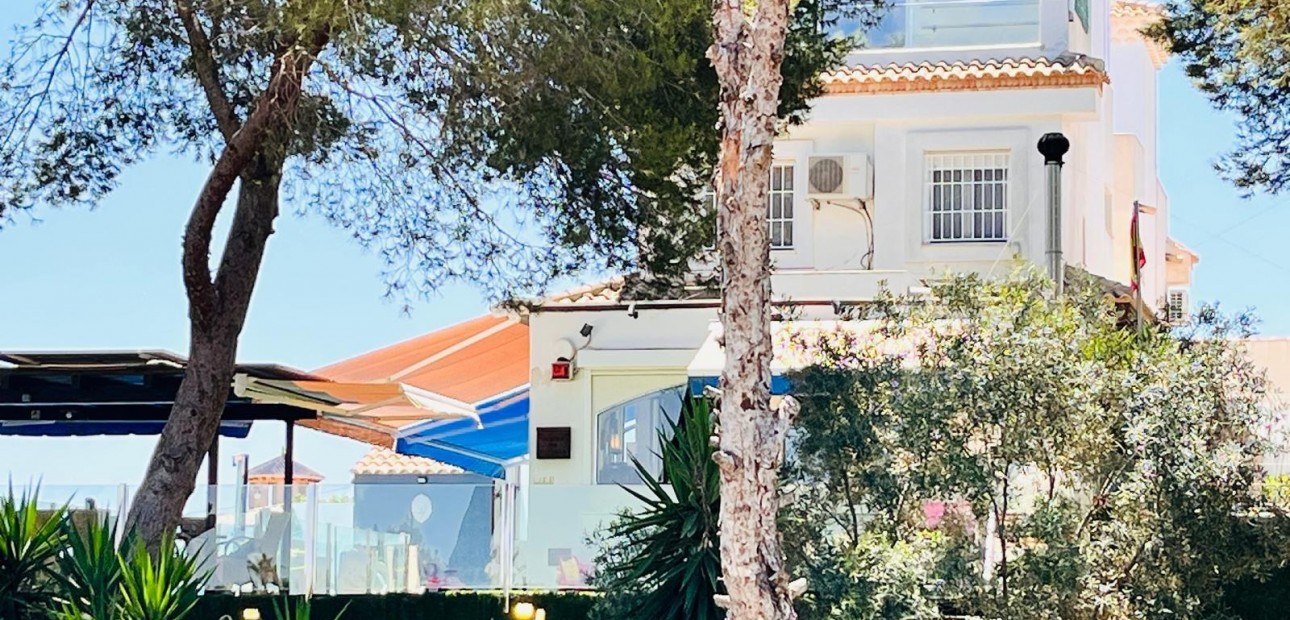 Sale - Villa -
Orihuela Costa - Montezenia