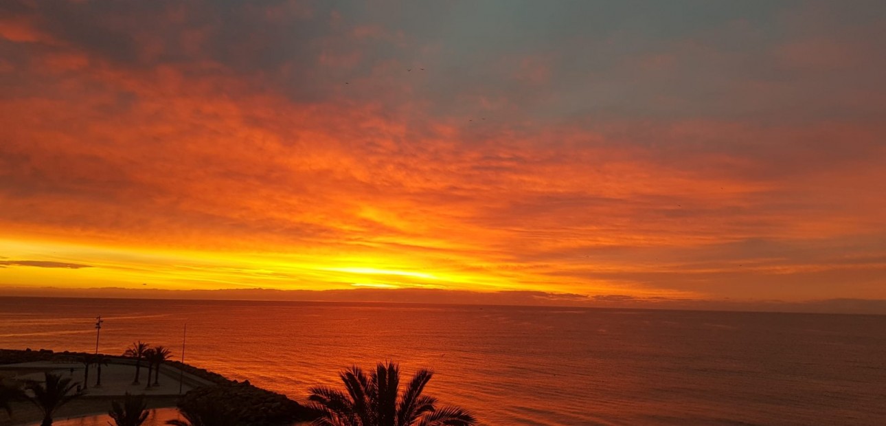 Herverkoop - Appartement / flat -
Torrevieja - Playa Del Cura