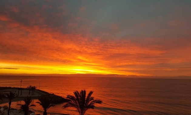 Herverkoop - Appartement / flat -
Torrevieja - Playa Del Cura