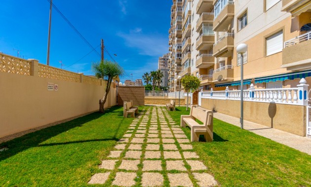 Herverkoop - Appartement / flat -
Torrevieja - Torrevieja - Centre