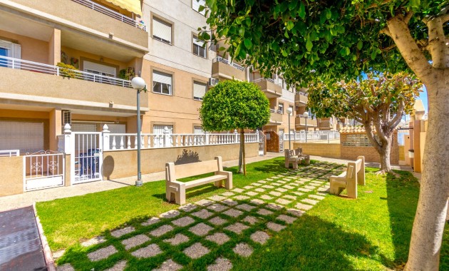 Herverkoop - Appartement / flat -
Torrevieja - Torrevieja - Centre