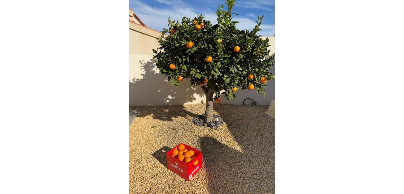 Venta - Detached Villa -
Ciudad Quesada - Ciudad Quesada - Town