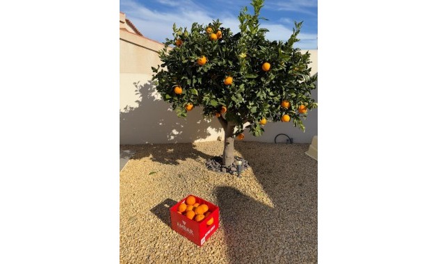 Venta - Detached Villa -
Ciudad Quesada - Ciudad Quesada - Town