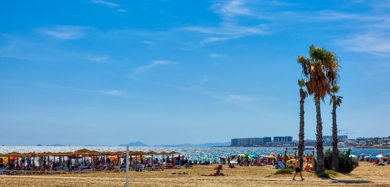 Venta - Apartamento / piso -
Torrevieja - torrevieja