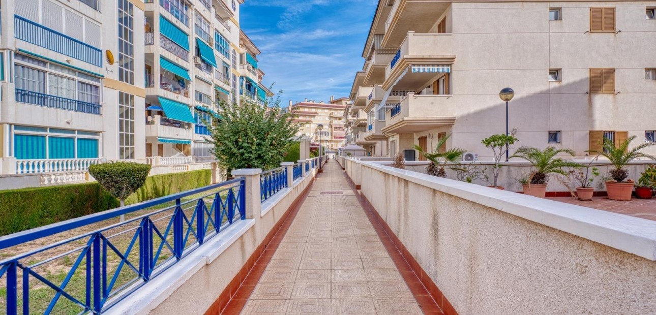 Sale - Apartment / flat -
Torrevieja - Los Europeos