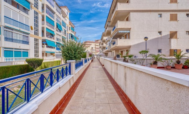 Sale - Apartment / flat -
Torrevieja - Los Europeos