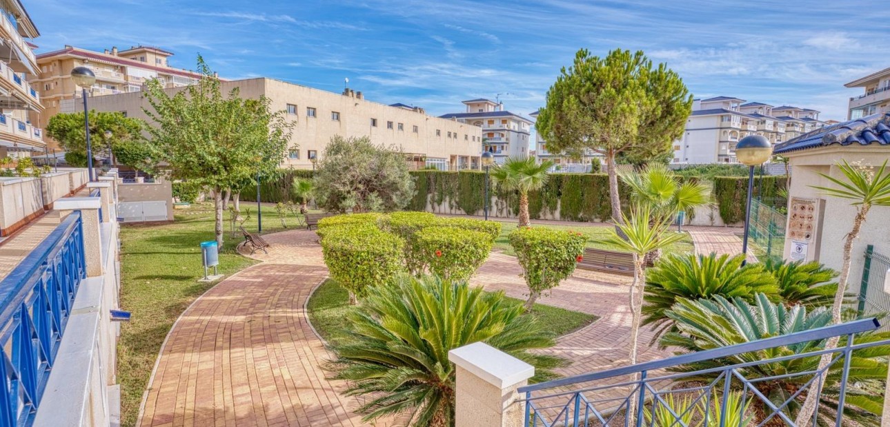 Sale - Apartment / flat -
Torrevieja - Los Europeos