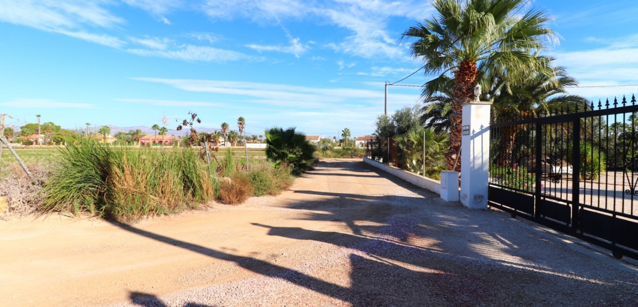 Sale - Country Property -
Catral - Catral - Country