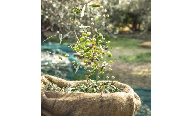 Herverkoop - Country land -
Murcia - Rincón de Seca