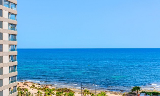 Herverkoop - 1. Apartment / flat -
Torrevieja - Punta prima