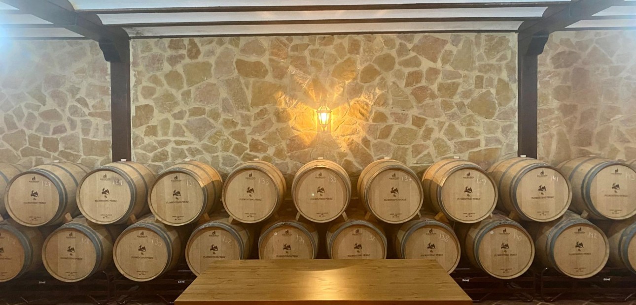 Venta - Cellar -
Albacete