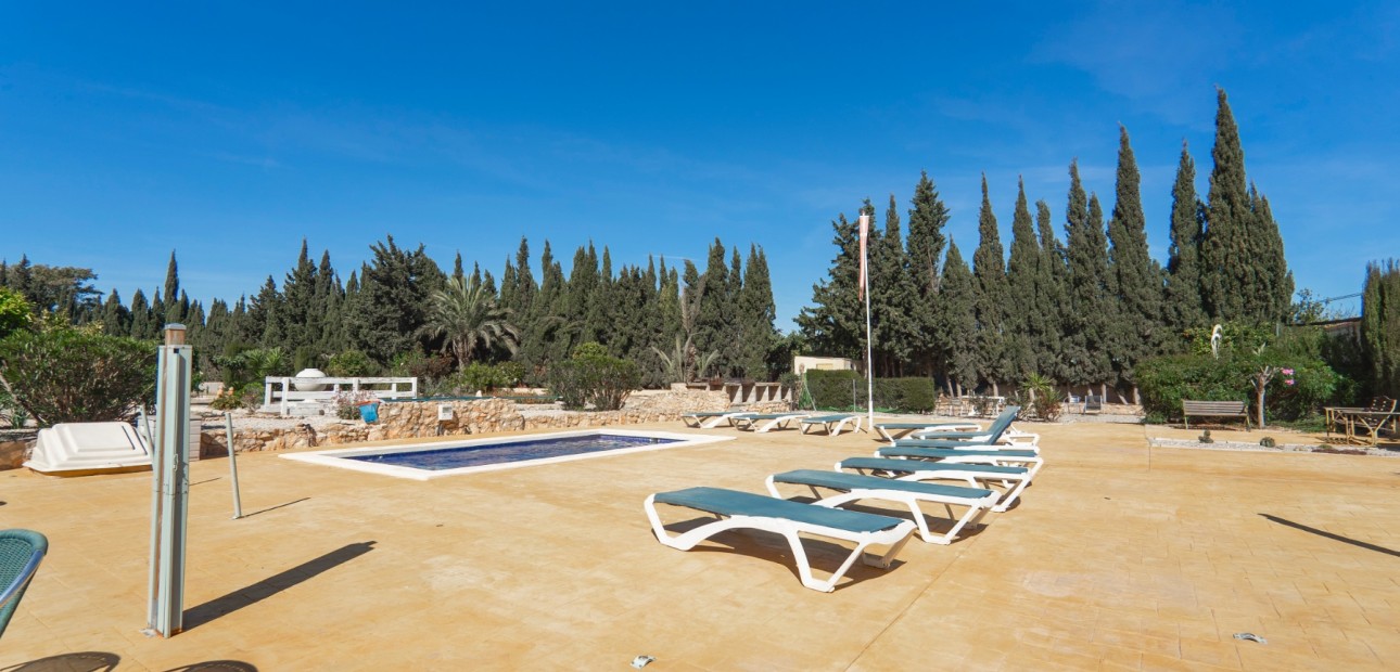 Sale - Country Property -
Los Montesinos - Los Montesinos - Country