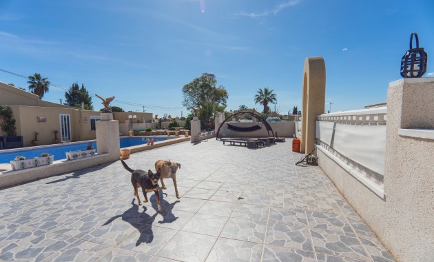 Sale - Country Property -
Los Montesinos - Los Montesinos - Country