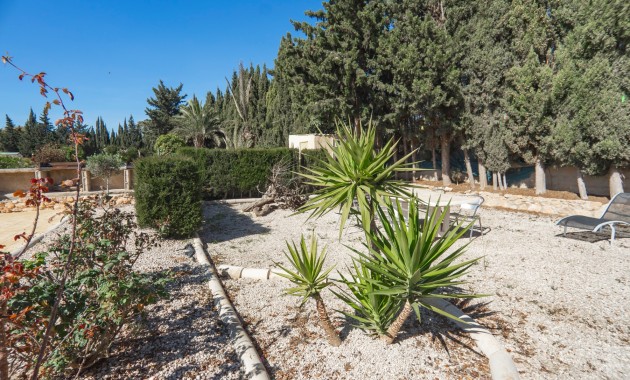 Sale - Country Property -
Los Montesinos - Los Montesinos - Country