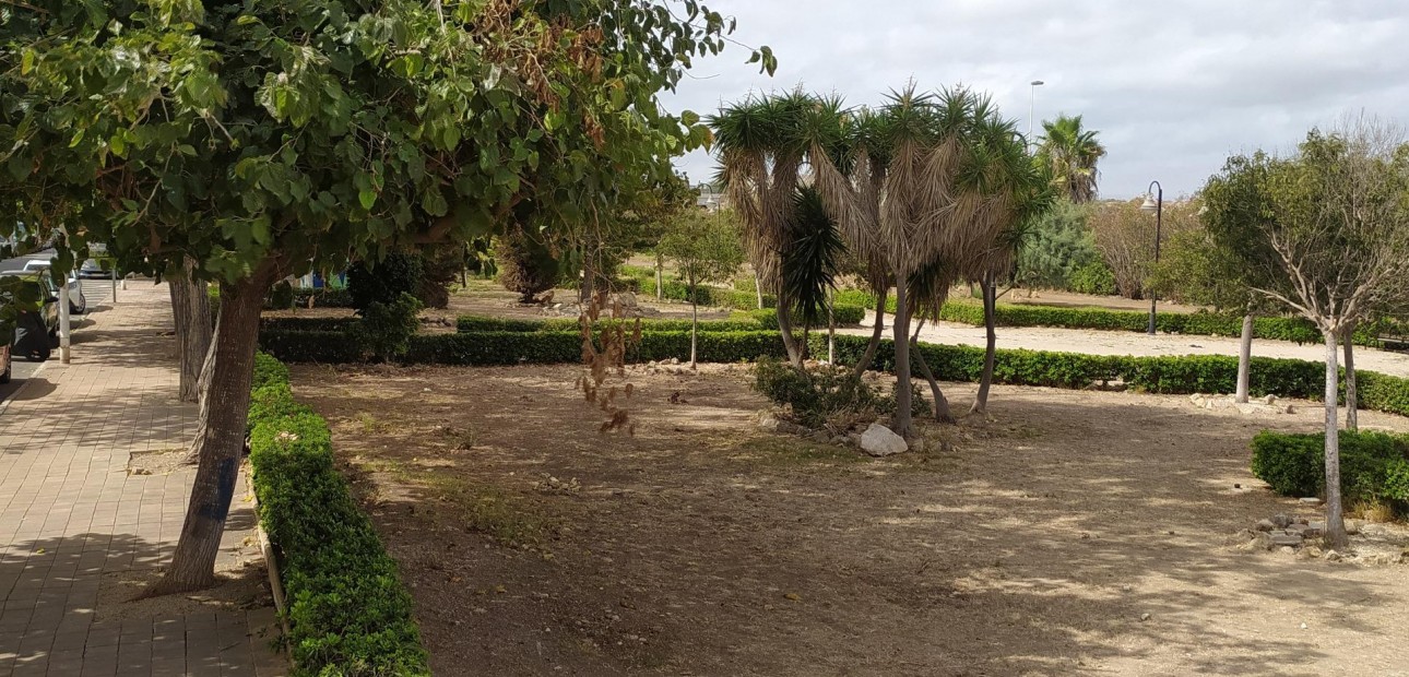 Sale - Studio -
Torrevieja - Acequion