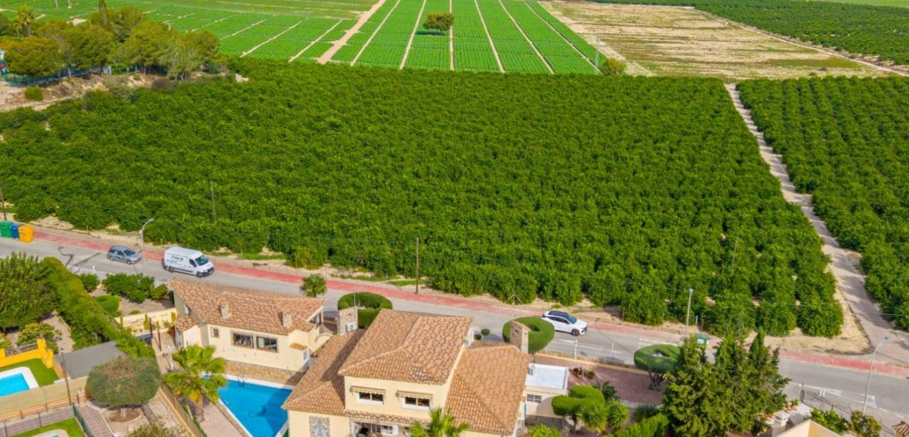 Sale - Villa -
Algorfa - Castillo de montemar