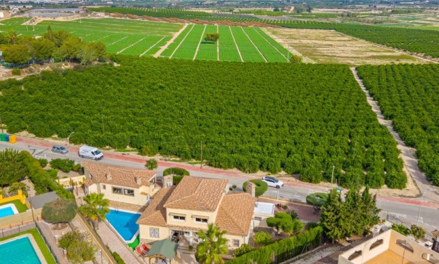 Sale - Villa -
Algorfa - Castillo de montemar