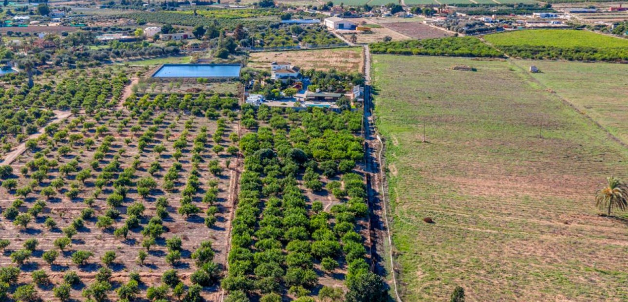 Herverkoop - Finca / Country Property -
Los Montesinos