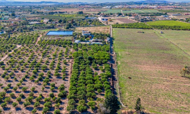 Herverkoop - Finca / Country Property -
Los Montesinos