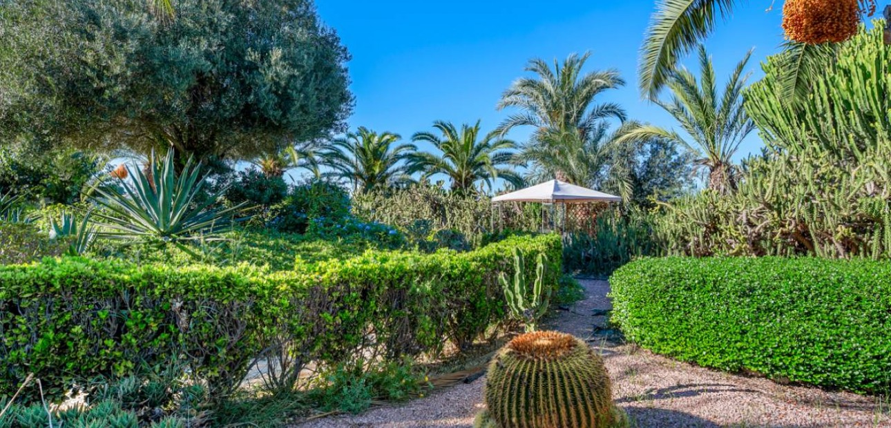 Herverkoop - Finca / Country Property -
Los Montesinos