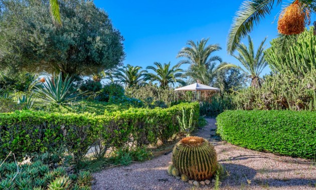 Herverkoop - Finca / Country Property -
Los Montesinos