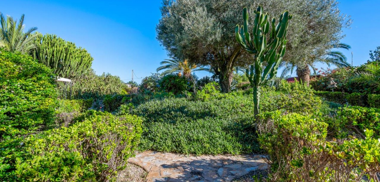 Herverkoop - Finca / Country Property -
Los Montesinos