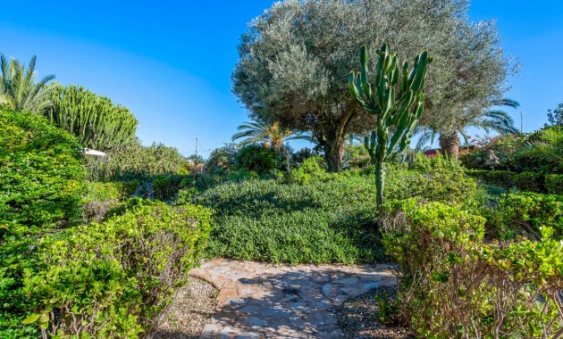 Herverkoop - Finca / Country Property -
Los Montesinos