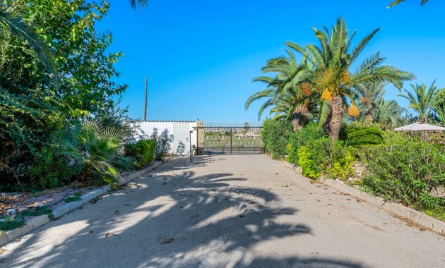 Herverkoop - Finca / Country Property -
Los Montesinos