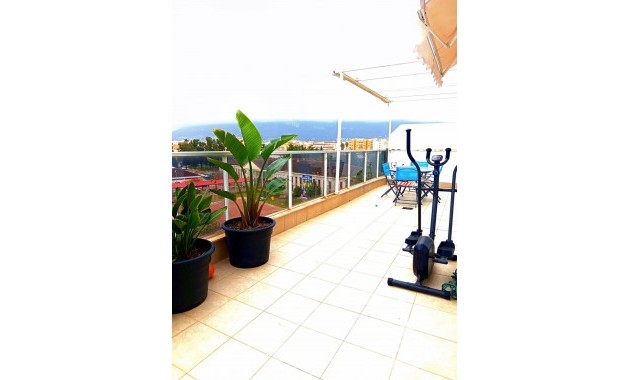 Venta - Apartamento / piso -
Denia
