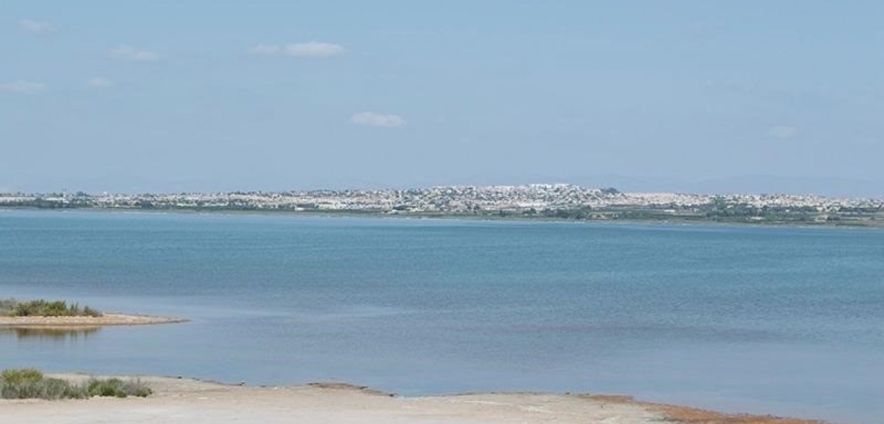 Sale - Apartment / flat -
La Mata - La Mata - Town