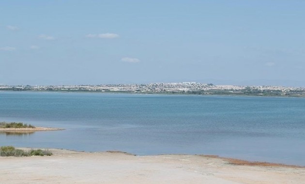 Sale - Apartment / flat -
La Mata - La Mata - Town