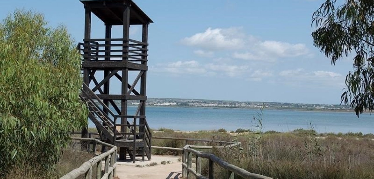 Sale - Apartment / flat -
La Mata - La Mata - Town