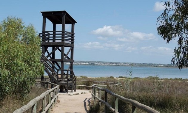 Sale - Apartment / flat -
La Mata - La Mata - Town