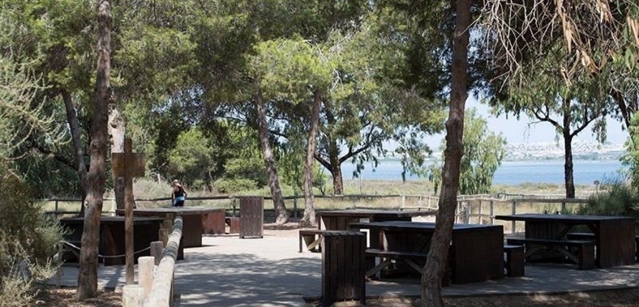 Sale - Apartment / flat -
La Mata - La Mata - Town