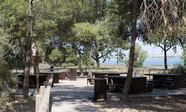 Sale - Apartment / flat -
La Mata - La Mata - Town