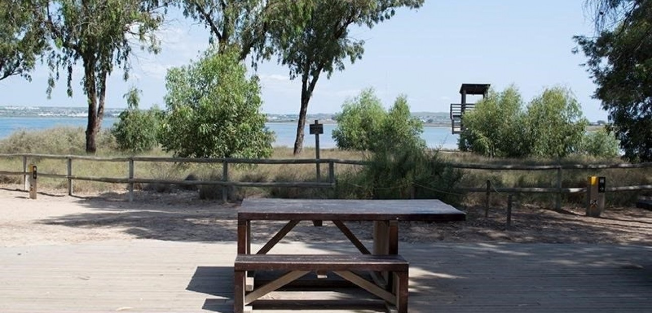 Sale - Apartment / flat -
La Mata - La Mata - Town