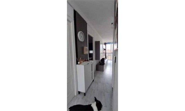 Sale - Apartment / flat -
Benidorm - Avenida Beniarda