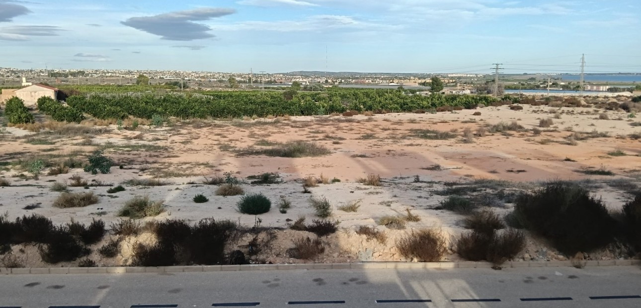 Herverkoop - House - Detached Villa (4) -
Los Montesinos - La herrada