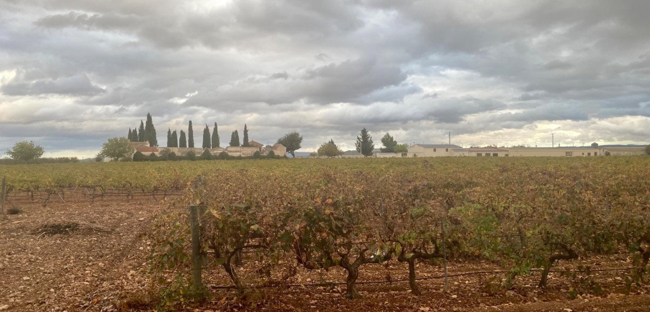 Venta - Cellar -
Albacete