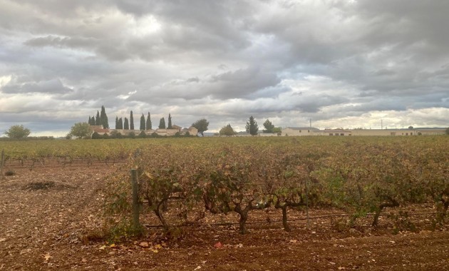 Venta - Cellar -
Albacete