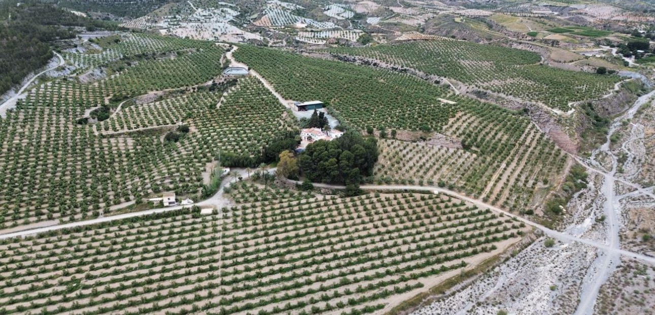 Venta - Country land -
Murcia - Rincón de Seca