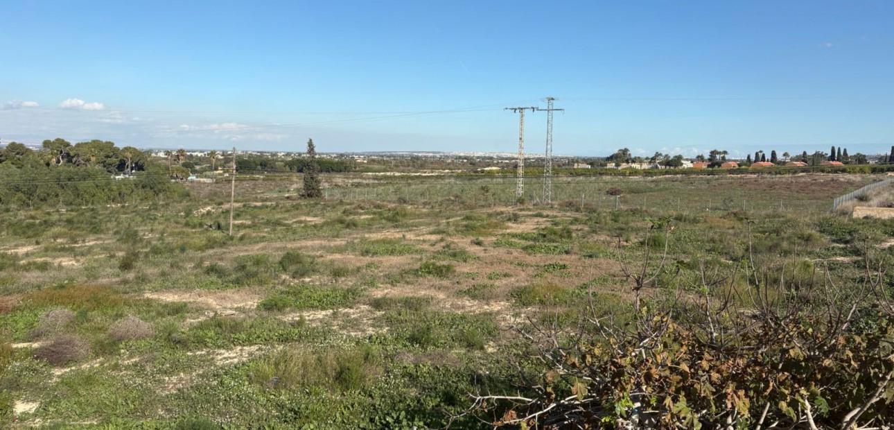 Venta - Adosado -
Algorfa - Montemar