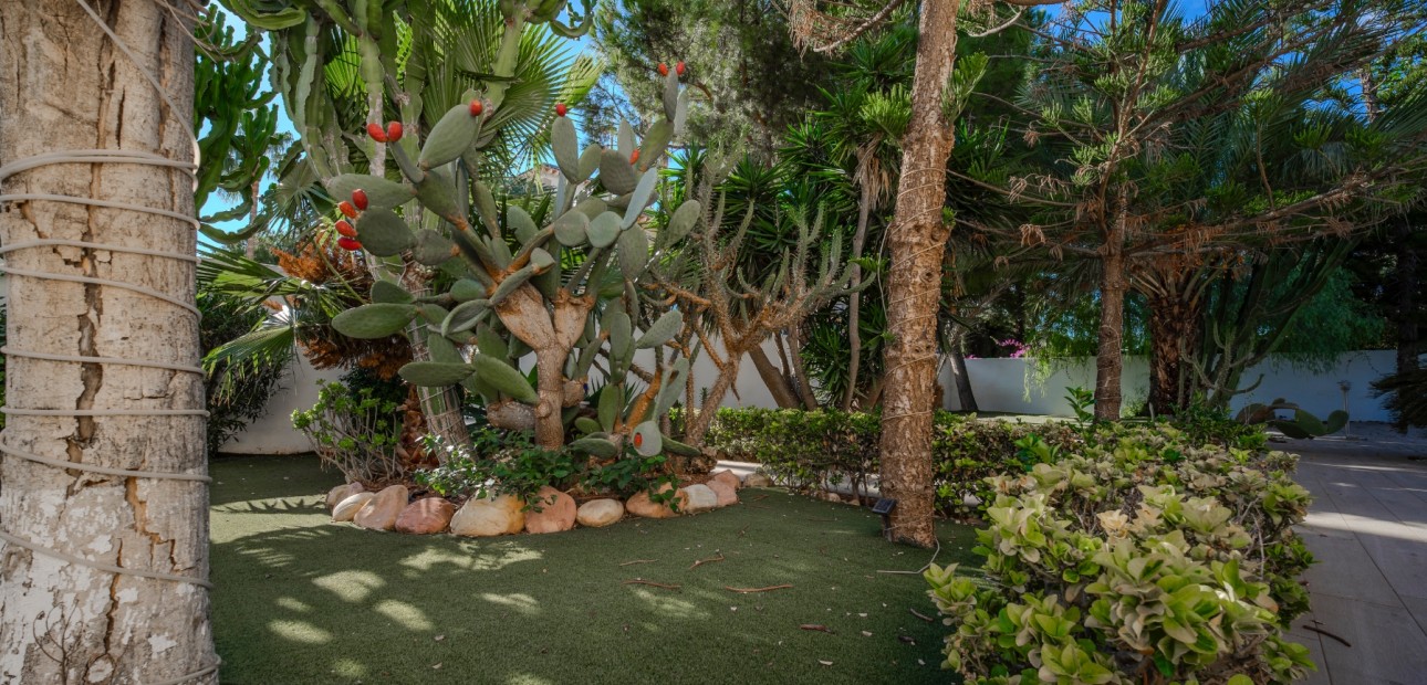 Venta - Detached Villa -
Ciudad Quesada - Doña Pepa